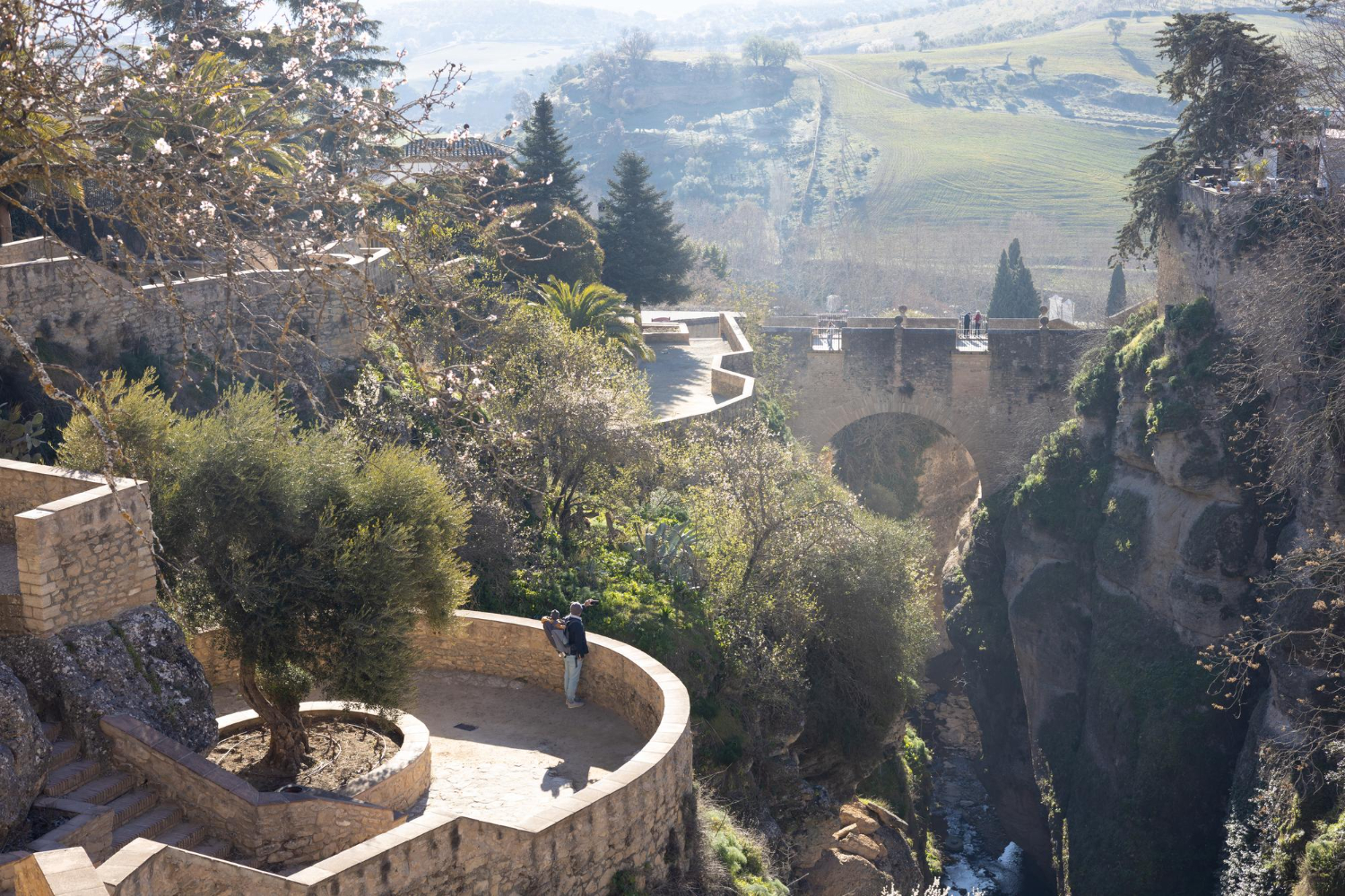 panoramic view of hanging gardens