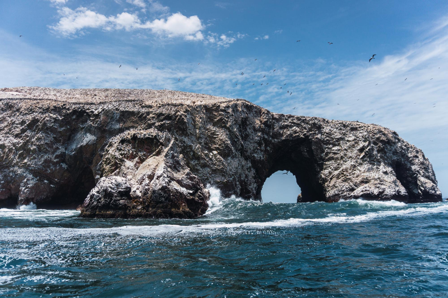 paracas e le isole ballestas
