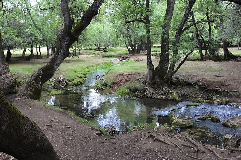 parc ain vittel ifrane