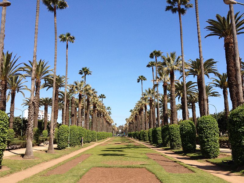 parc de la ligue arabe avenue