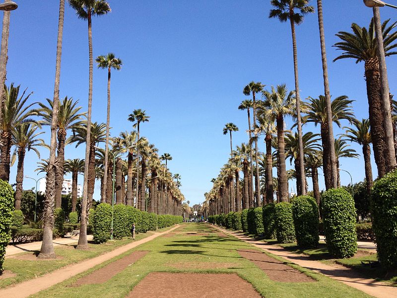 parc de la ligue arabe avenue