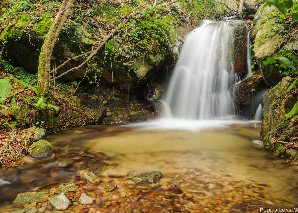 parc natural del montseny