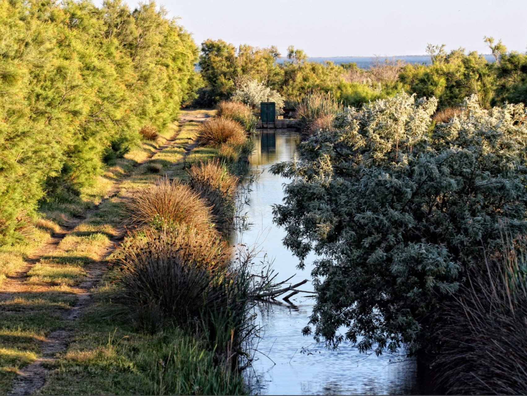 parc regional de camargue