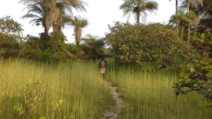 parcnationalbassecasamance