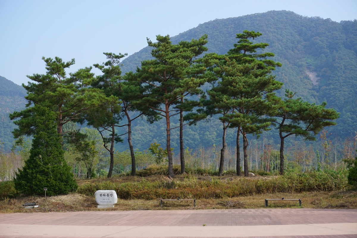 parco chuncheon isola di nami 1