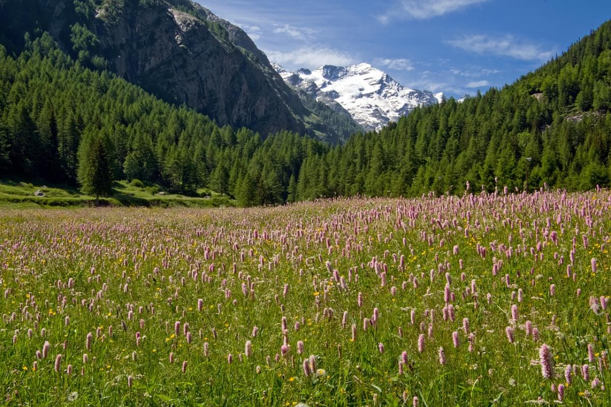 parco del gran paradiso