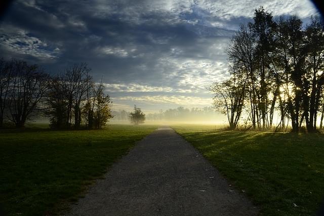 parco di monza 1