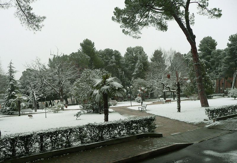 parco ivan graziani teramo