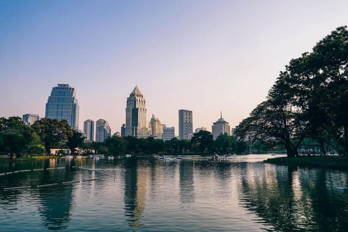 parco lumphini bangkok albero