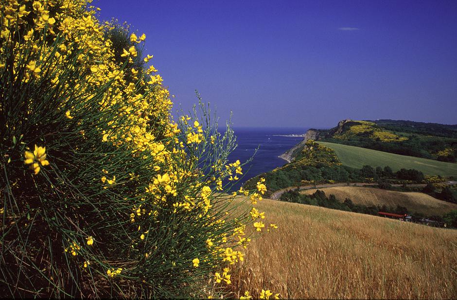 15 strada parco del san bartolo