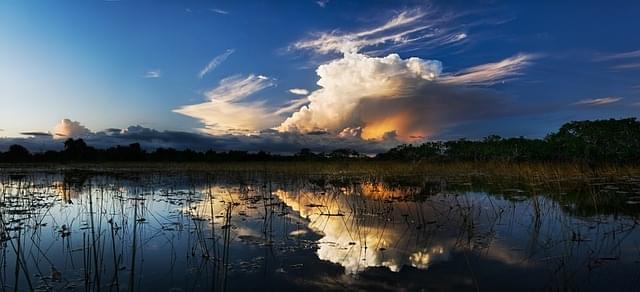 parco nazionale di everglades