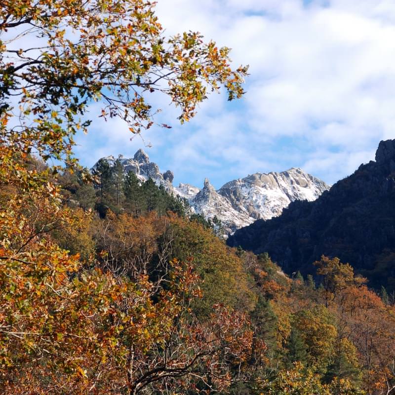 Parco Nazionale di Peneda-Gerês, Portogallo