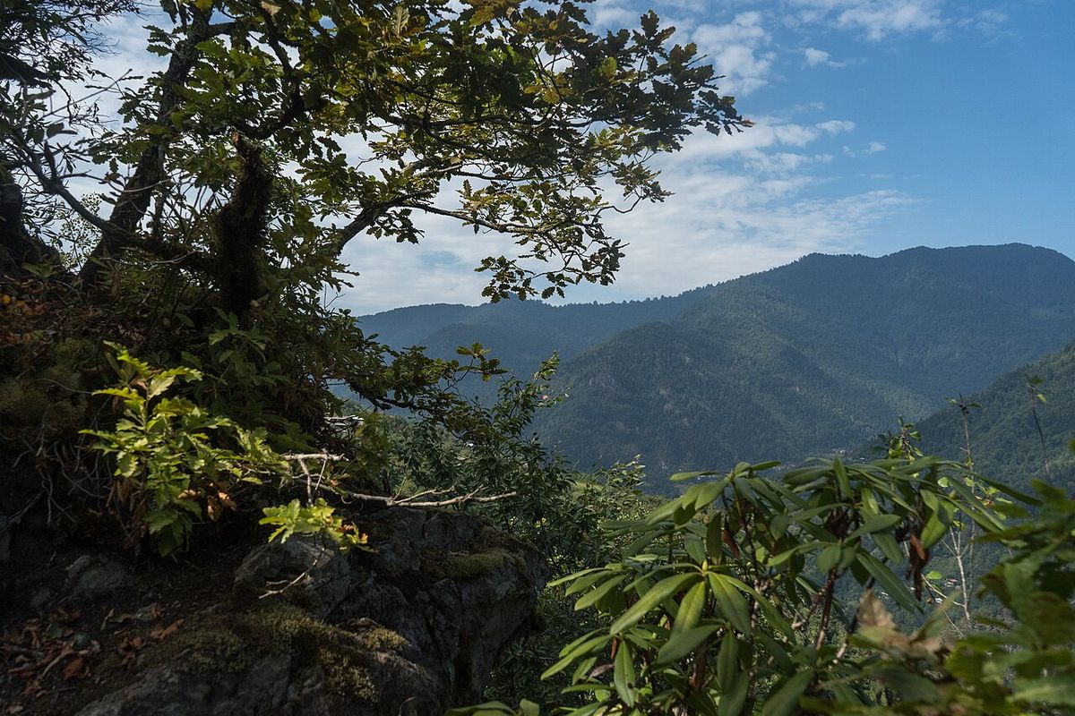 parco nazionale machakhela batumi - foto di alexey komarov