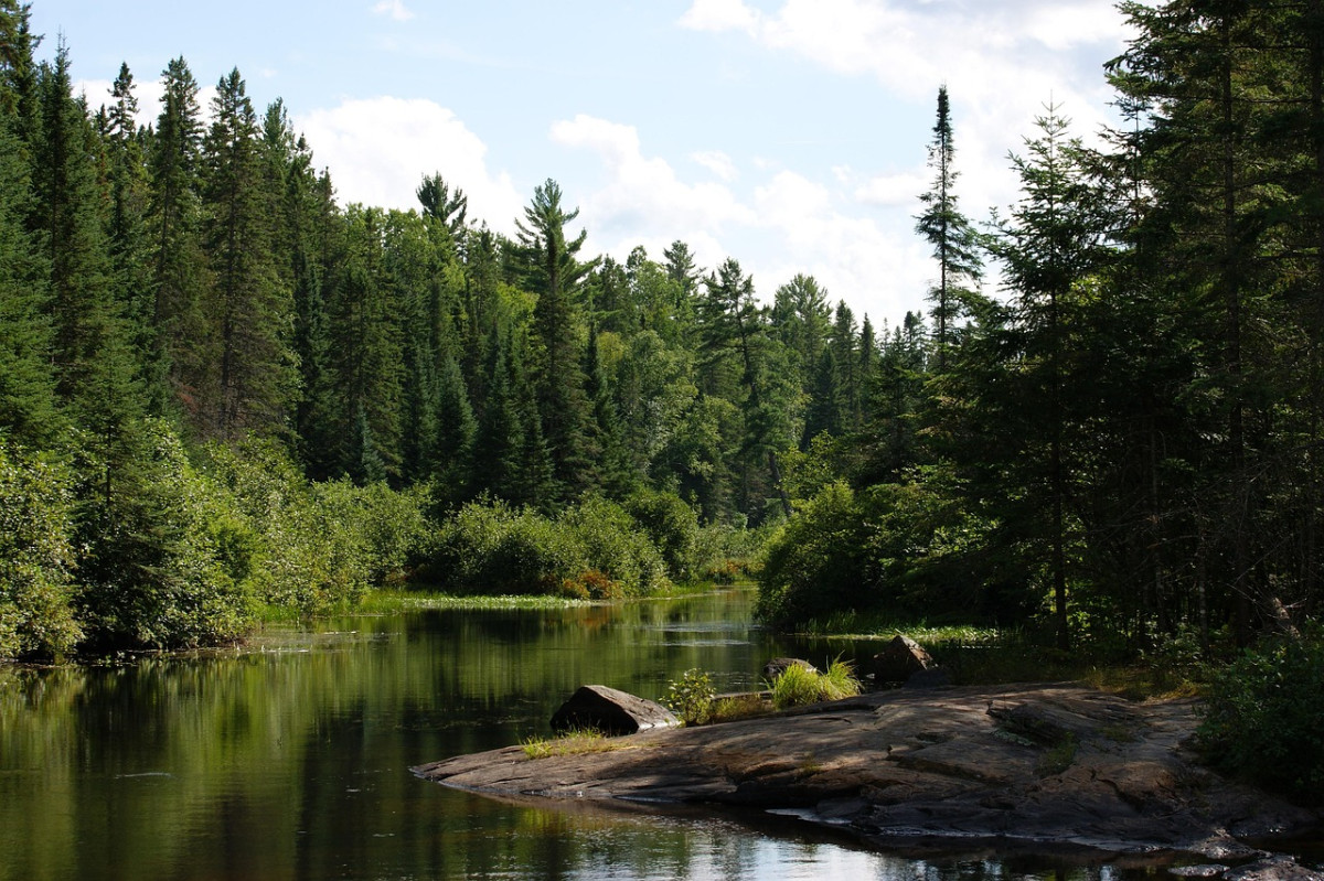 parco provinciale algonquin