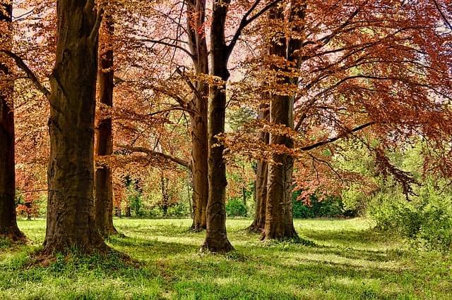 Parco Nazionale del Monte Dajti