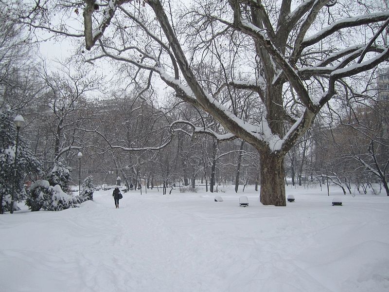 parcul cismigiu park bucharest bucuresti romania winter 1