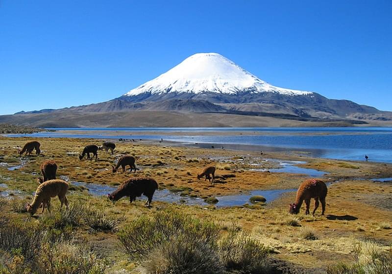 parinacota volcano