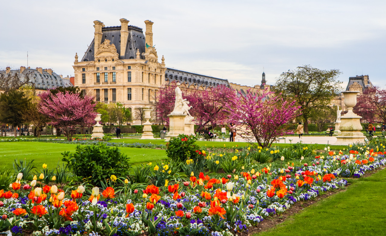 paris france april 05 2019 marvelous spring tuileries garden view louvre palace