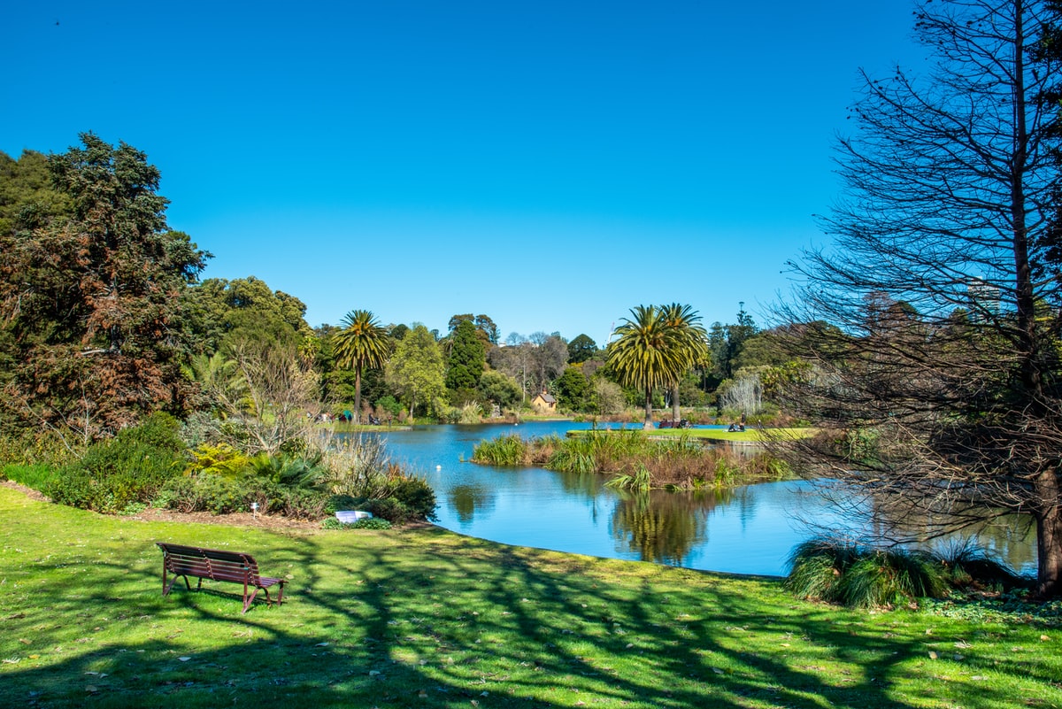 park bench view over a lake