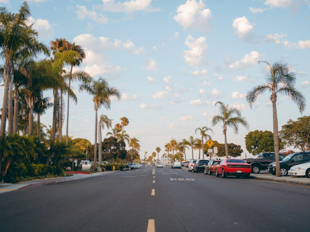 parked vehicles near road