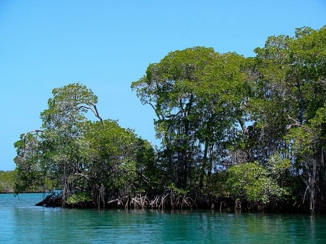 parque nacional morrocoy