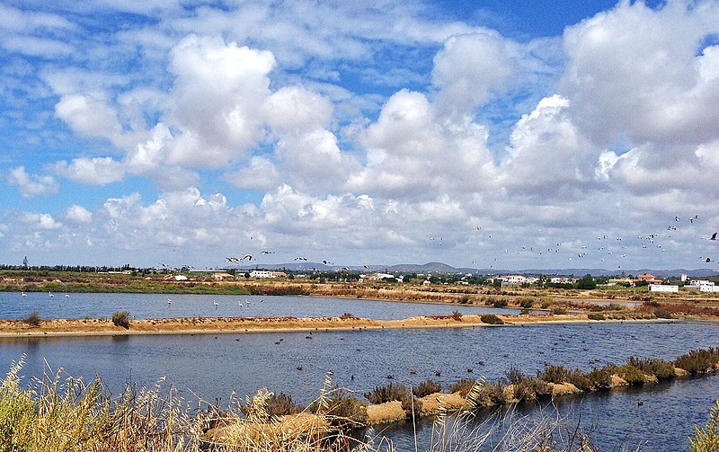 parque natural da ria formosa olhao panoramio