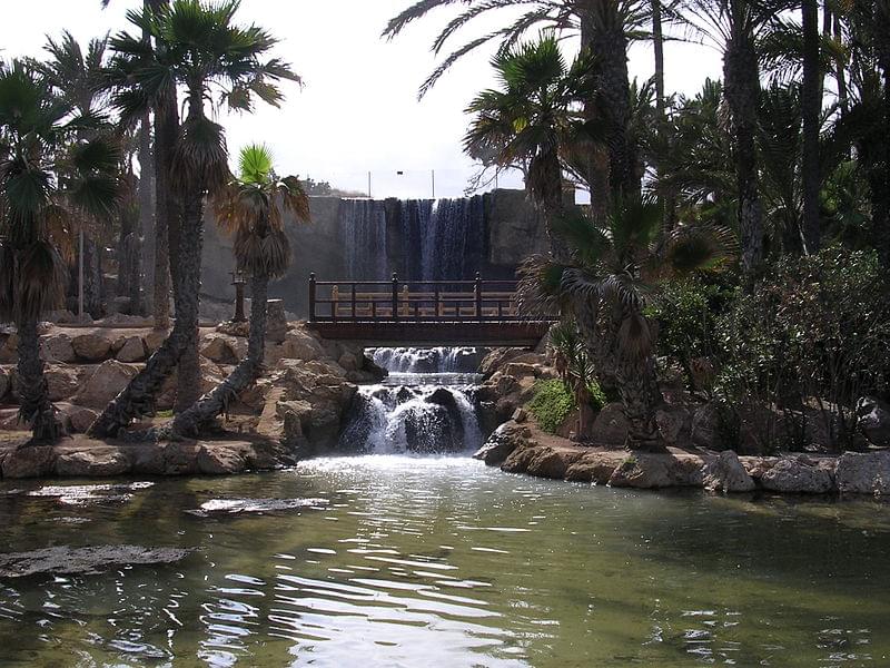 parque palmeral