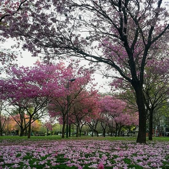 parque urquiza rosario