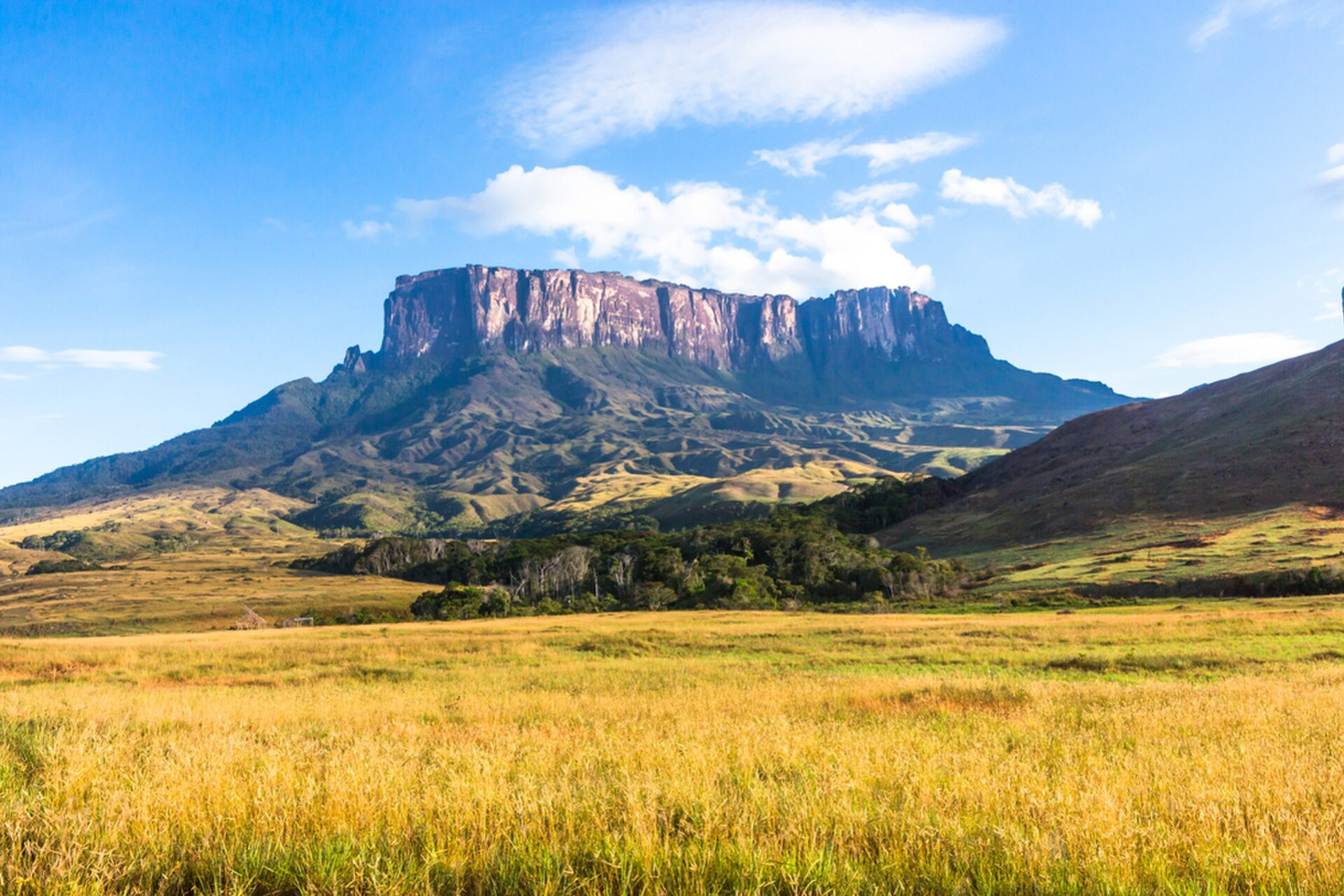 parquenacionaldomonteroraima 1