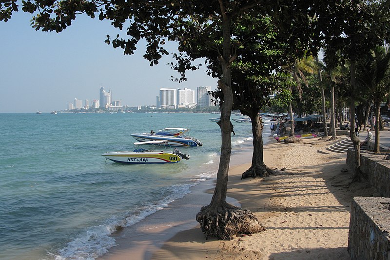 pattaya beach trees thailand