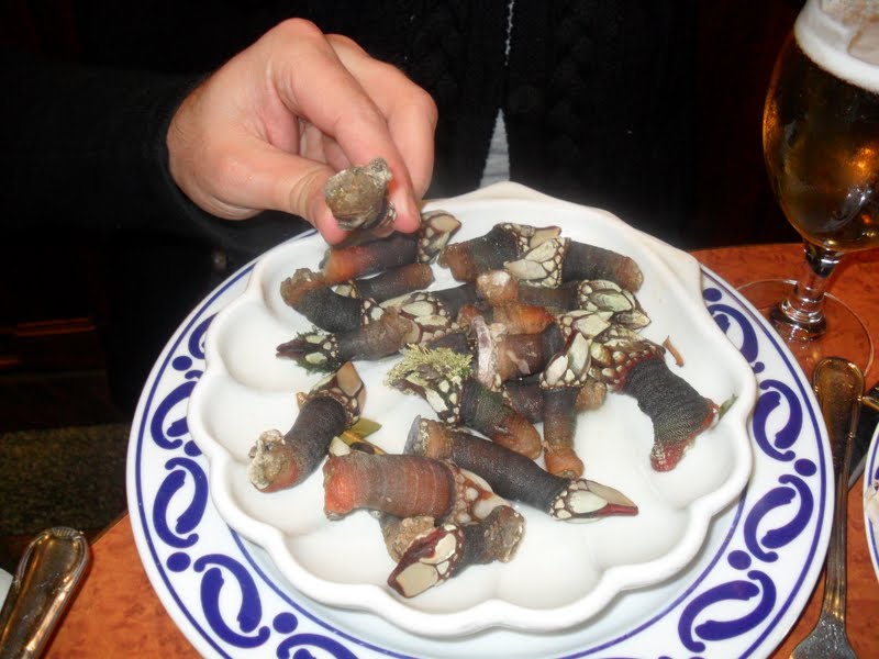 percebes iguaria