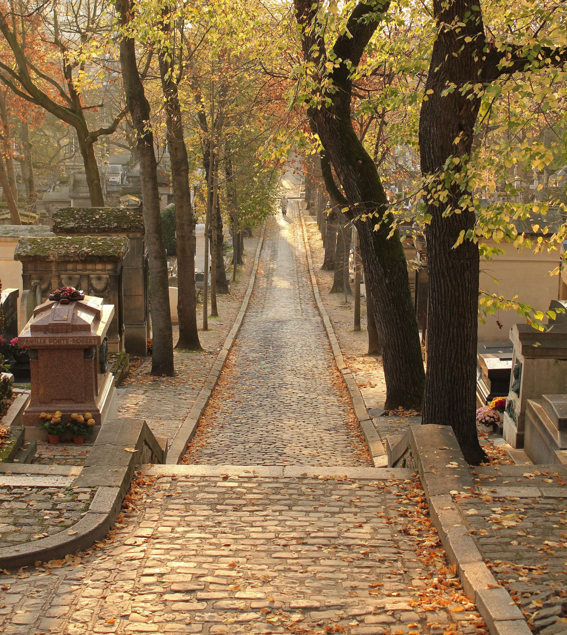 pere lachaise avenuelateraledunord02