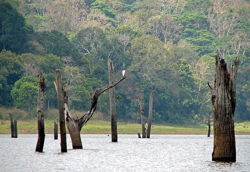periyar national park 02