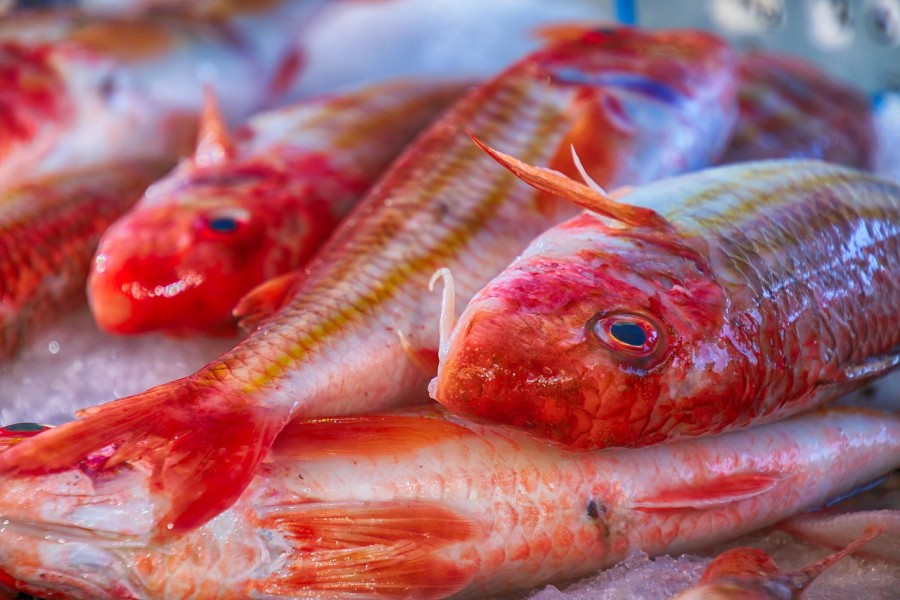 il pesce e alla base di specialita delle localita siciliane