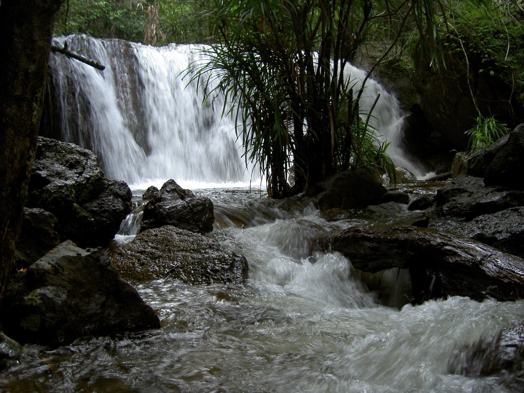 phu quoc suoi tranh