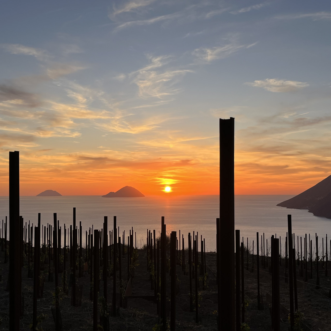 pic nic in vigna al tramonto gigi