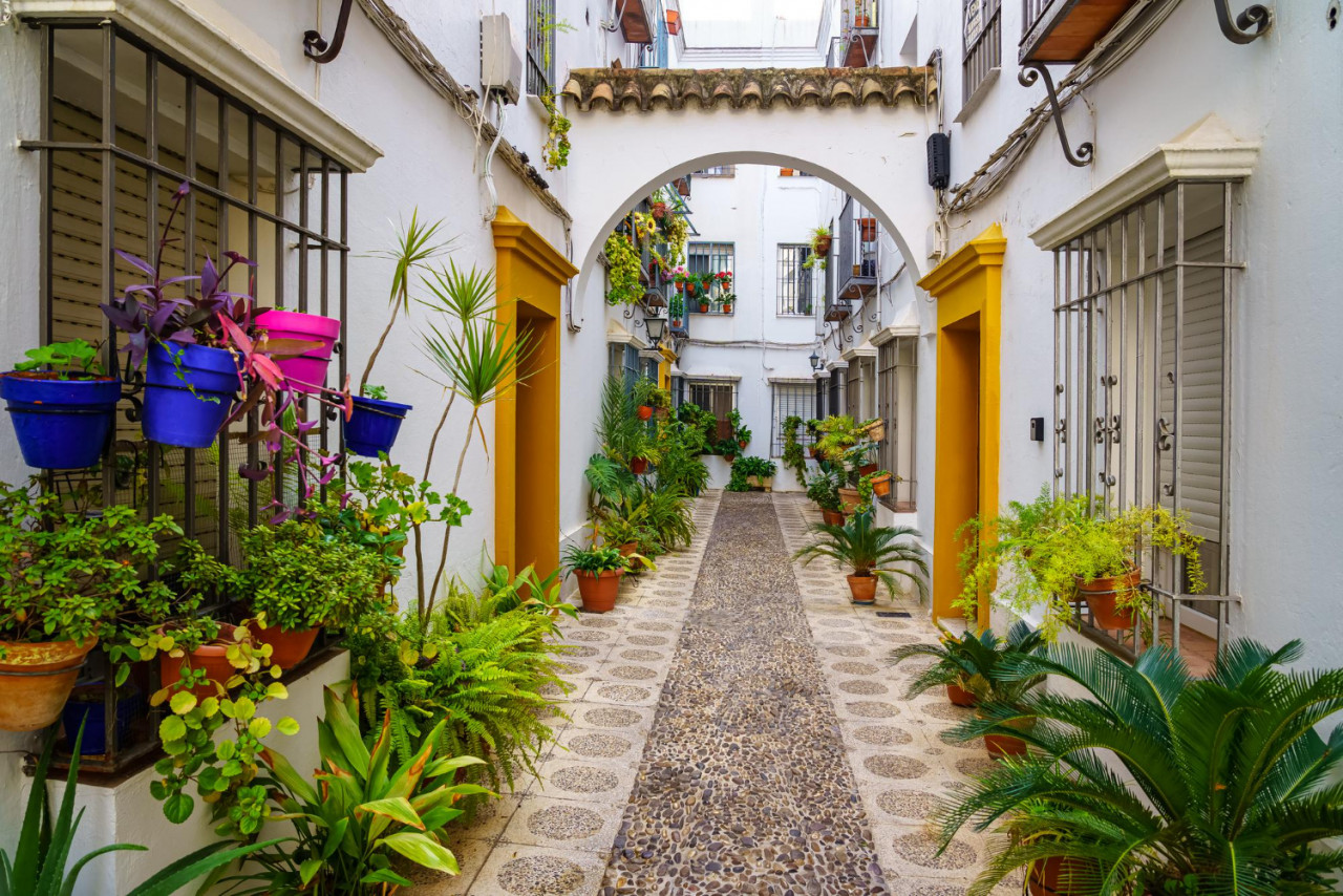 picturesque alley white houses with flowerpots plants flowers city cordoba spain