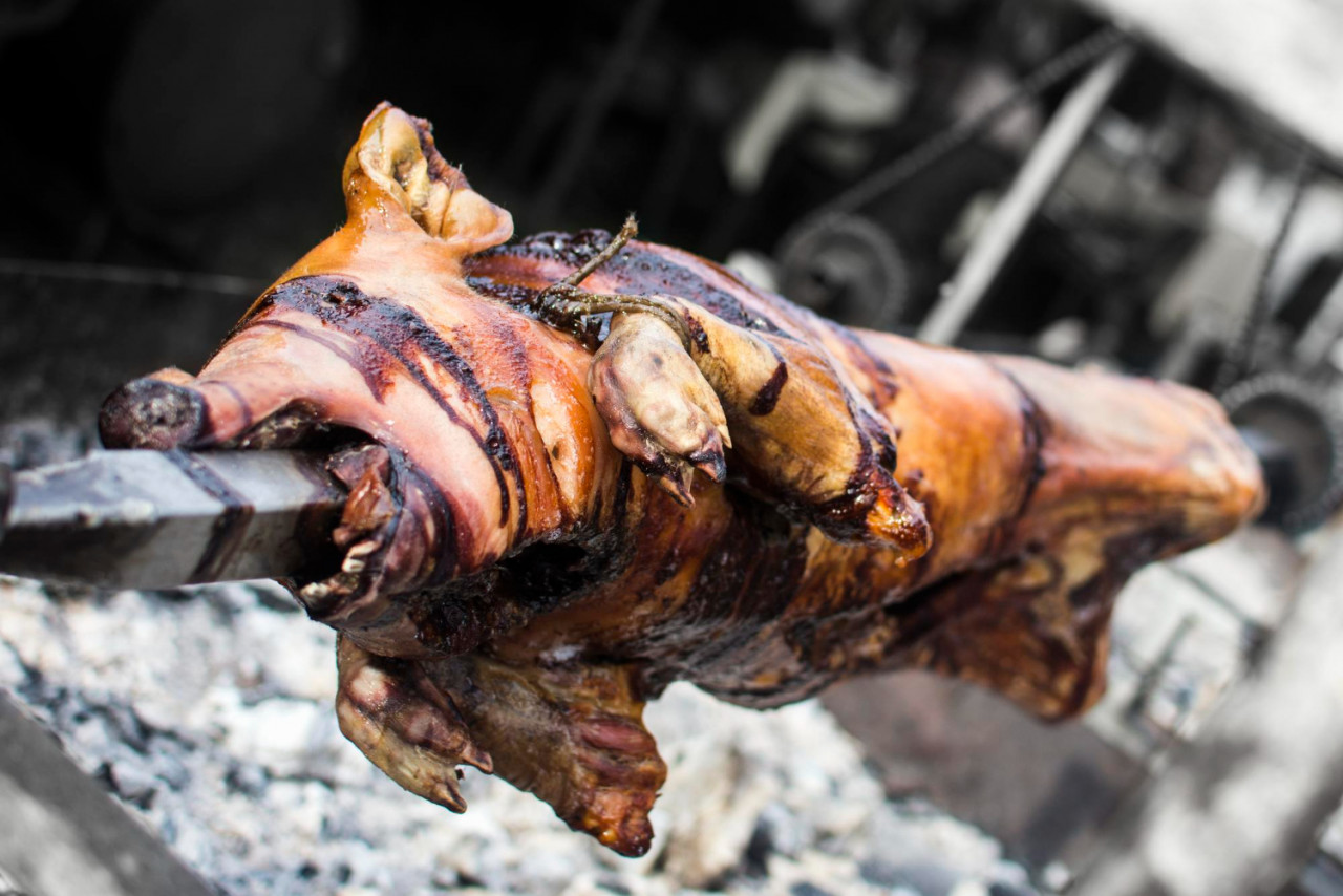 pig roasting spit