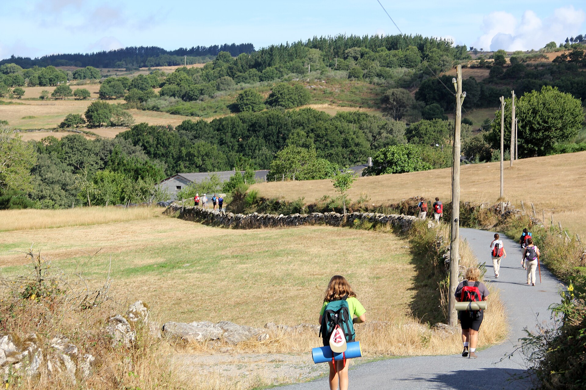 pilgrims camminodisantiago