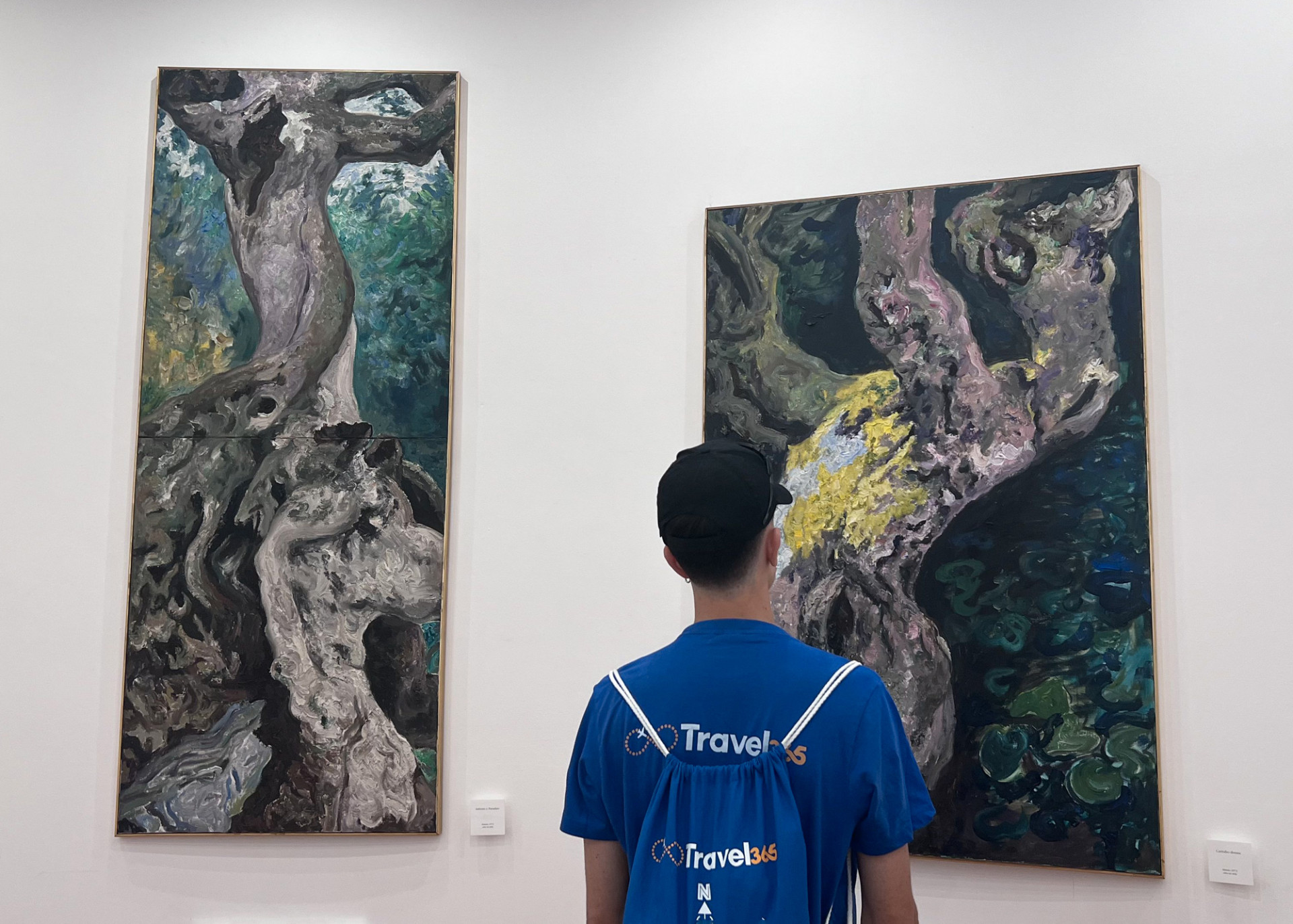 pinacoteca carlo levi