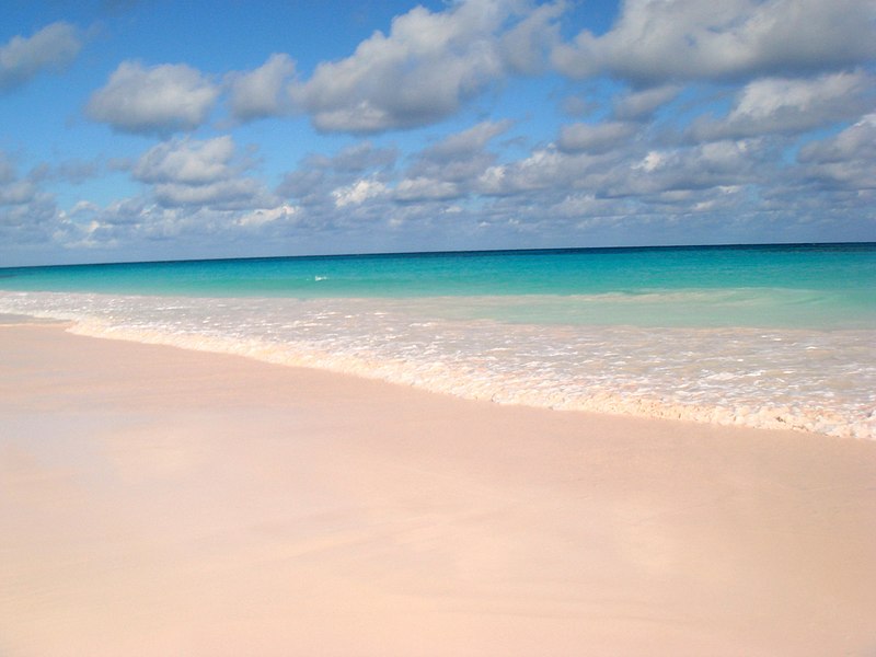 pink sands beach harbour island bahamas