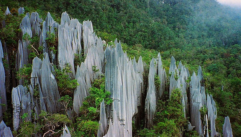 pinnacles at mulu 2