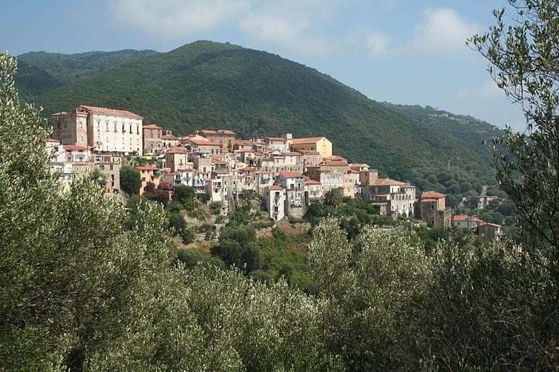 pisciotta vista