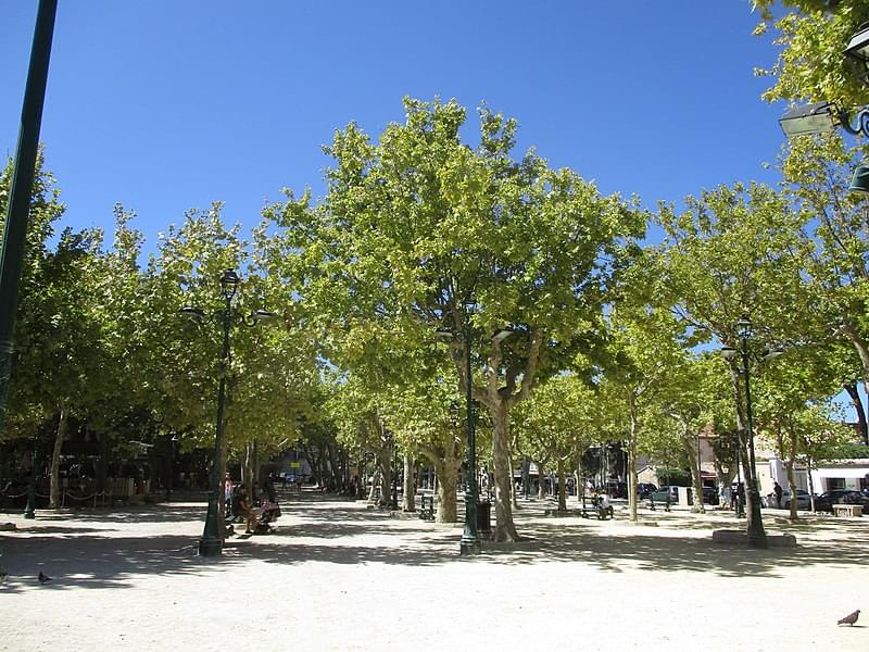 place des lices saint tropez 2