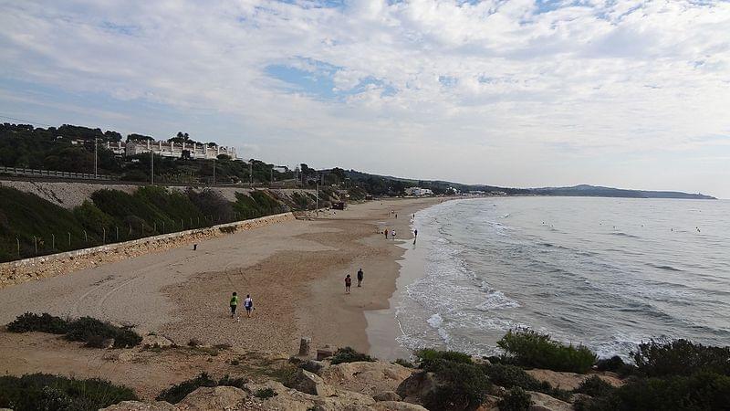 platja llarga vista des de la punta del morrot