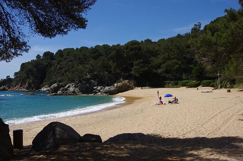 platja treumal