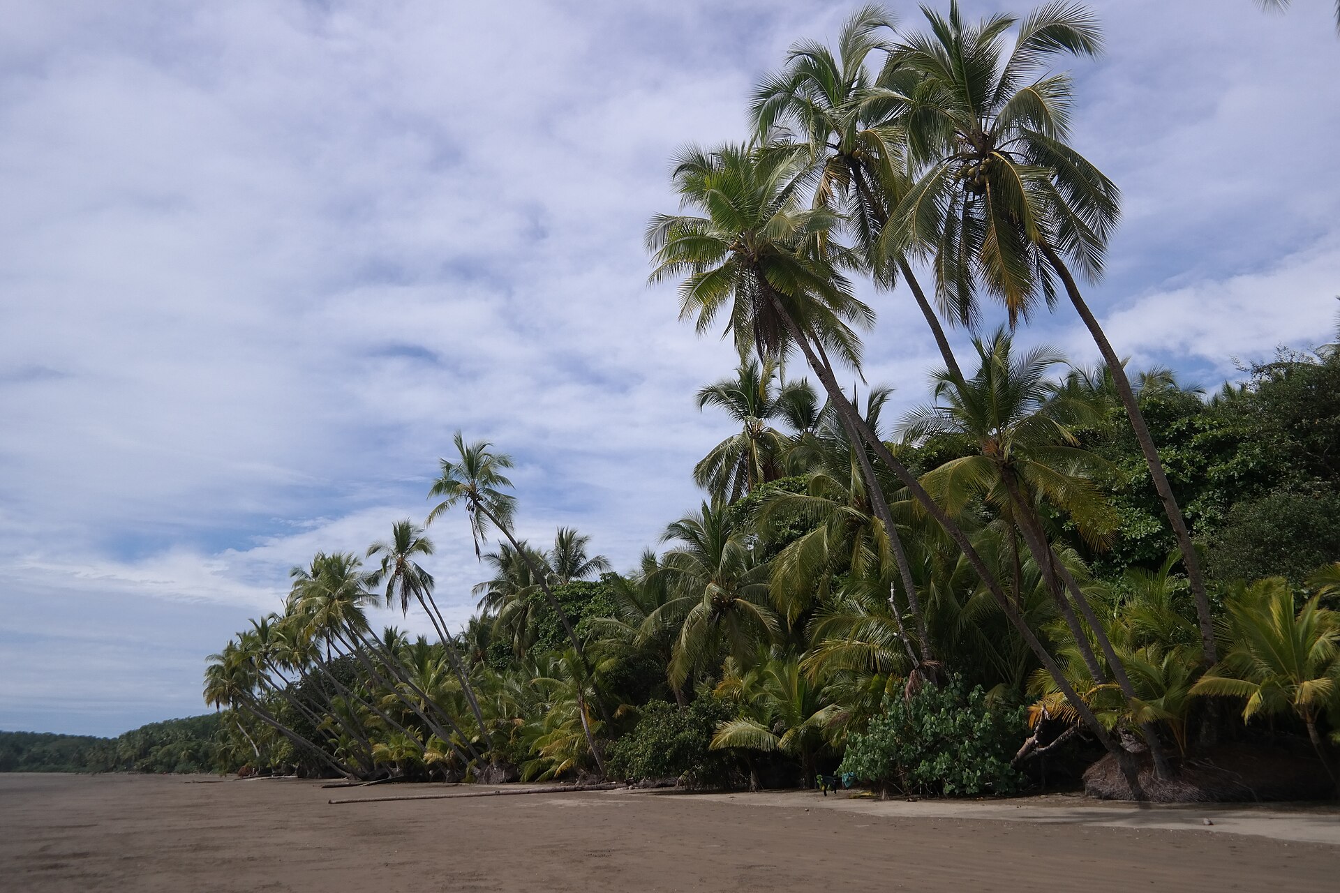 playa uvita costa rica