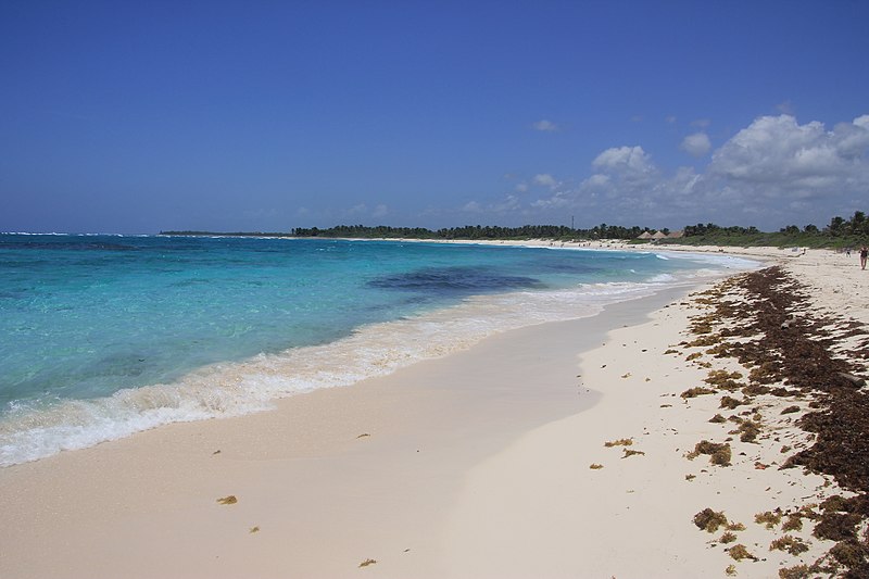 playa xcacel mexico panoramio 1