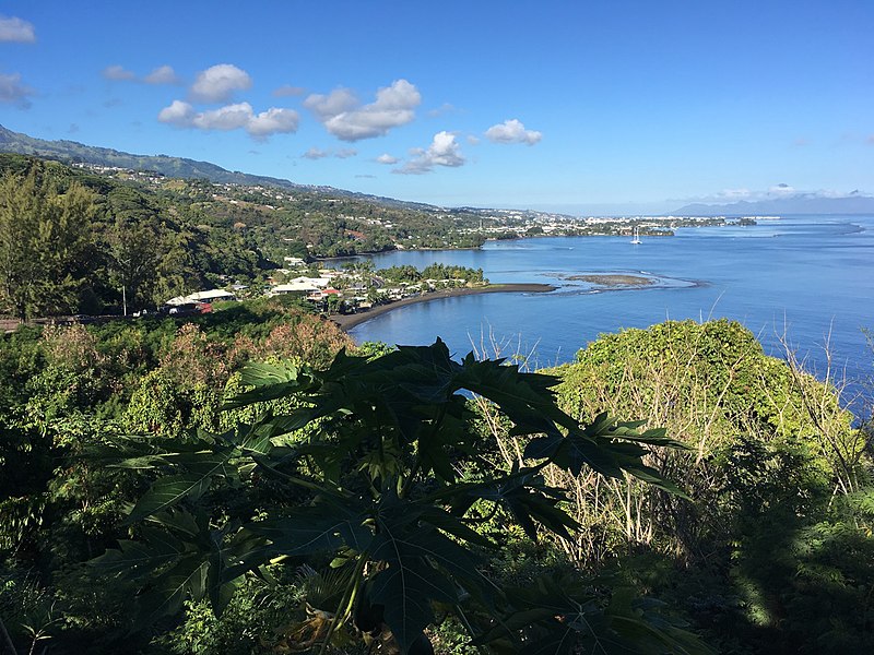 point de vue du tahara a