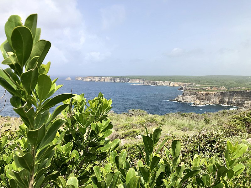 pointe de la grande vigie anse bertrand